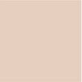 Zanderm Precision Concealer - For Beginners