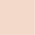 Zanderm Precision Concealer - For Beginners